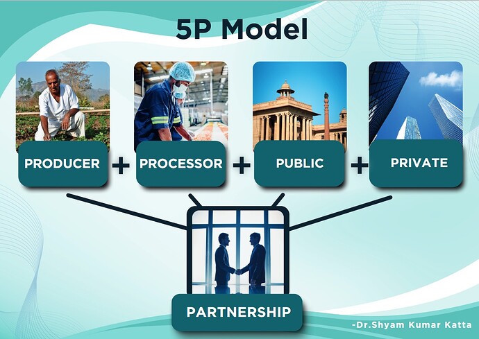 5P Model